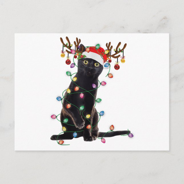 Reindeer Black Cat Christmas Lights Funny Cat Love Postcard (Front)
