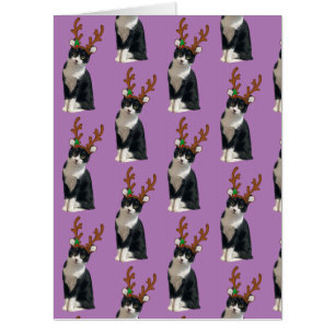 Reindeer Calliope Card