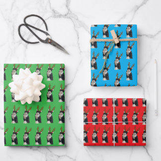 Reindeer Calliope Wrapping Paper Sheets