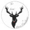 Reindeer christmas sticker