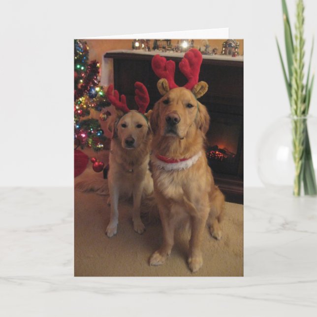 Reindeer Dogs Holiday Card (Front)