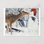 Reindeer Eating Snowman Postcard<br><div class="desc">Reindeer Eating Snowman's Carrot</div>