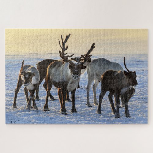 Reindeer Family in the Snow Jigsaw Puzzle