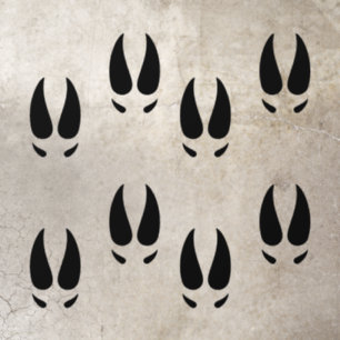 Reindeer Footprints Floor Decals