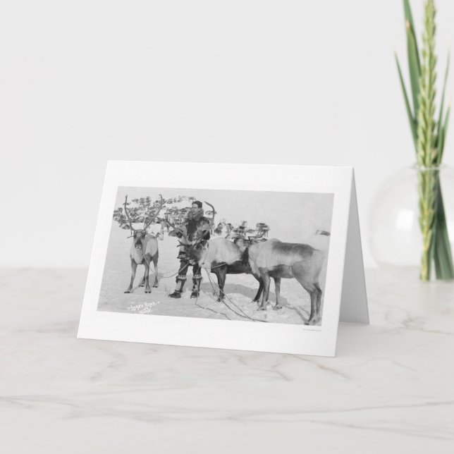 Reindeer Herd Alaska 1909 Holiday Card (Front)