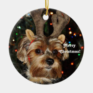 Reindeer Horns Yorkshire Terrier,Merry Christmas! Ceramic Ornament