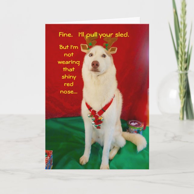 Reindeer Husky Holiday Card (Front)