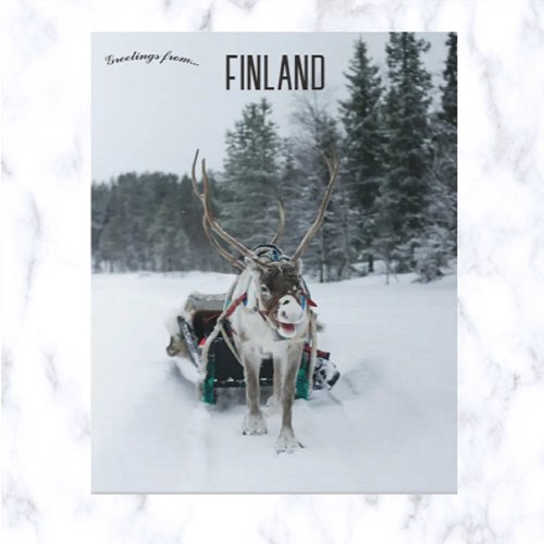 Reindeer in Kittil Lapland Finland Postcard