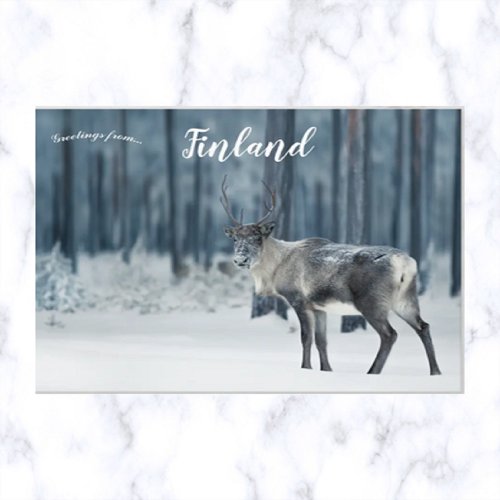 Reindeer in Lapland Finland Postcard