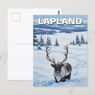 Reindeer in Lapland Finland Travel Postcard