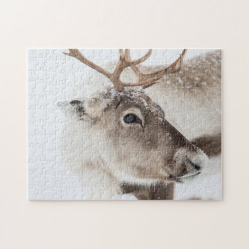 Reindeer in Snow Jigsaw Puzzle