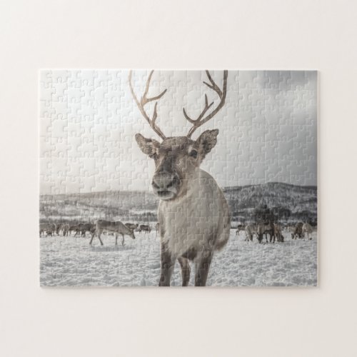 Reindeer Jigsaw Puzzle