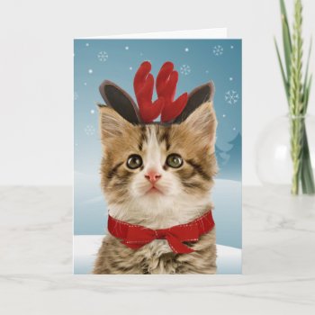 Reindeer Kitten Christmas Card by lamessegee at Zazzle