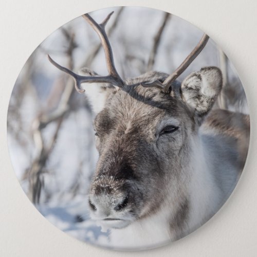 Reindeer Nature Photo Button