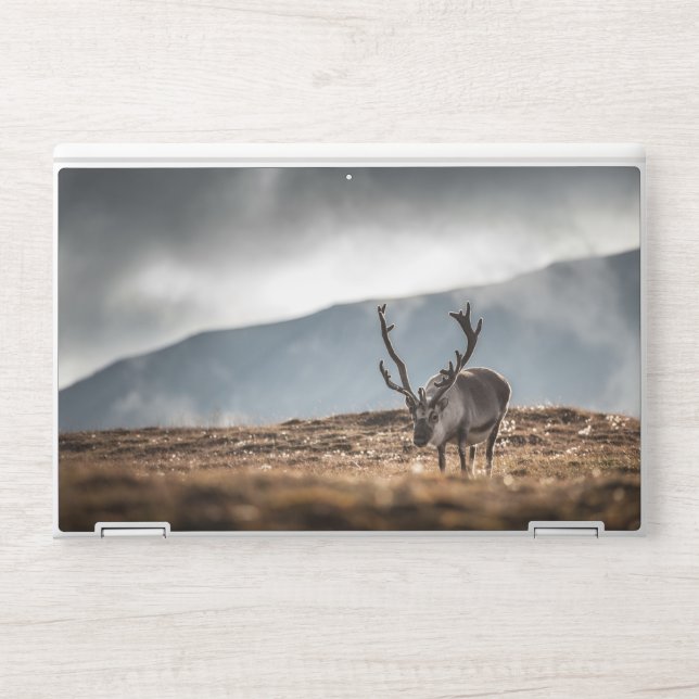 Reindeer Nature Photo HP Laptop Skin (Front)