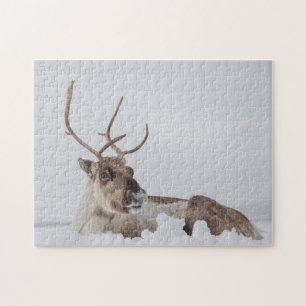 Reindeer Nature Photo Jigsaw Puzzle