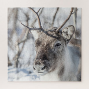 Reindeer Nature Photo Jigsaw Puzzle
