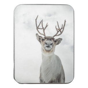 Reindeer Nature Photo Jigsaw Puzzle