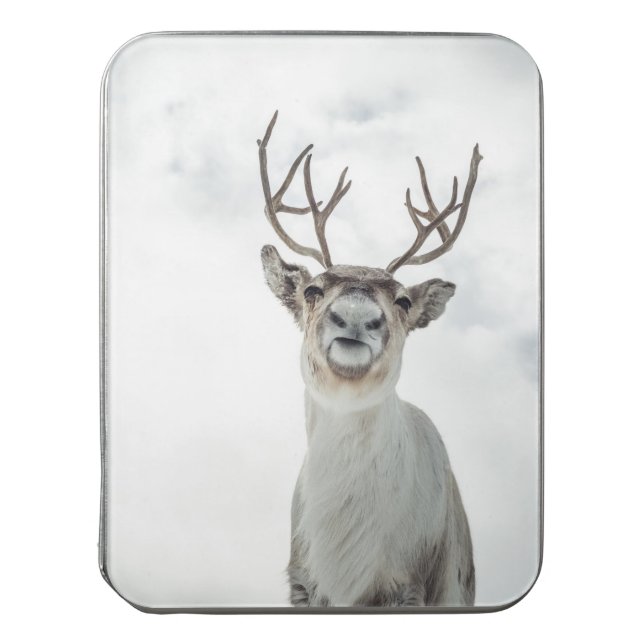 Reindeer Nature Photo Jigsaw Puzzle (Lid Vertical)