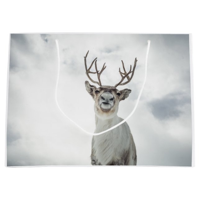 Reindeer Nature Photo Large Gift Bag (Front)