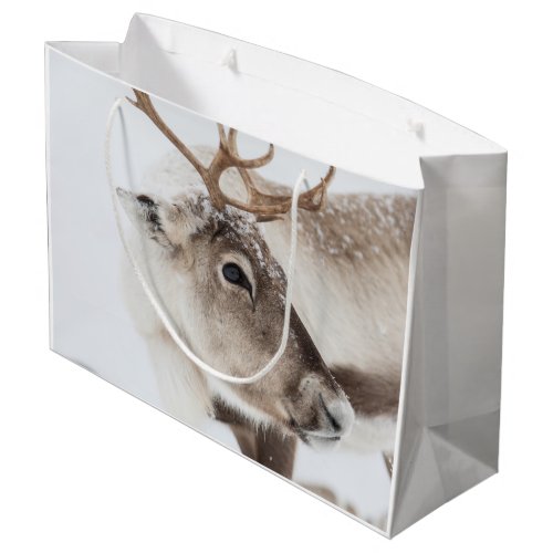 Reindeer Nature Photo Large Gift Bag