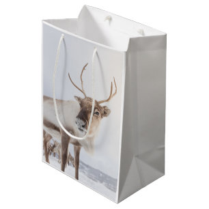 Reindeer Nature Photo Medium Gift Bag