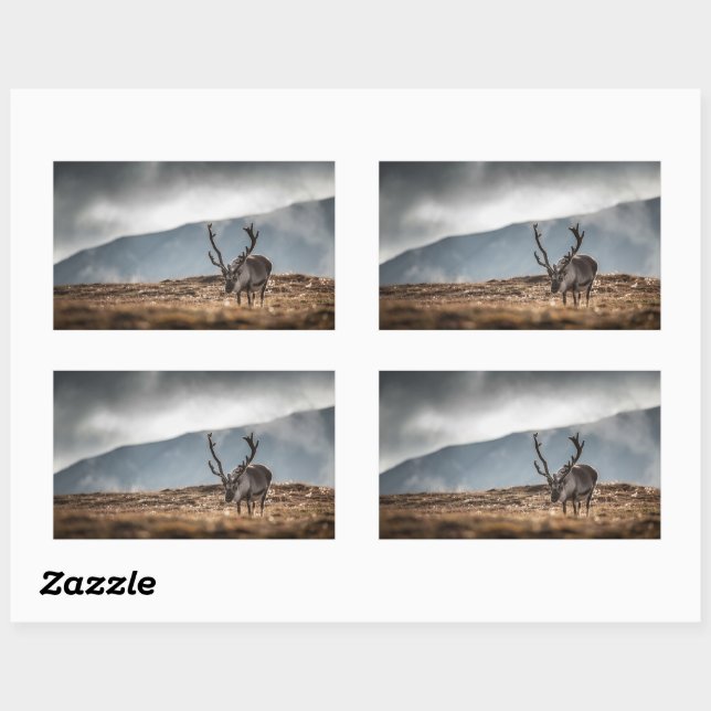 Reindeer Nature Photo Rectangular Sticker (Sheet)