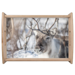 Reindeer Nature Photo Serving Tray