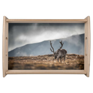 Reindeer Nature Photo Serving Tray