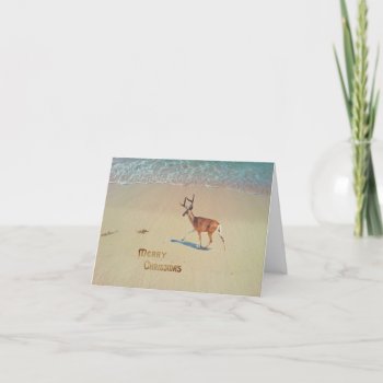 Reindeer On The Beach Surreal Merry Christmas Post Holiday Card by TheSillyHippy at Zazzle