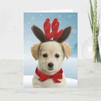 Reindeer Puppy Christmas Card by lamessegee at Zazzle