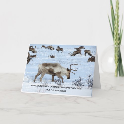 Reindeer Stags Christmas Photo Personalized Holiday Card