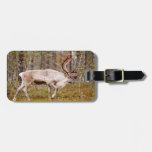 Reindeer walking in forest luggage tag