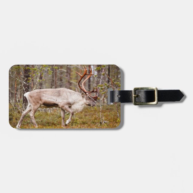 Reindeer walking in forest luggage tag (Front Horizontal)