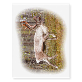 Reindeer walking in forest temporary tattoos
