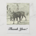 [ Thumbnail: Reindeer With Antlers, "Thank You!", Vintage Look Postcard ]
