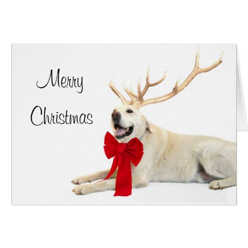 Reindeer yellow lab card