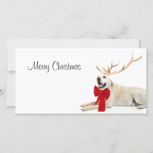 Reindeer yellow lab holiday card (Front)