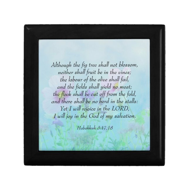 Rejoice in the Lord - Habakkuk 3:17,18 Gift Box (Front)
