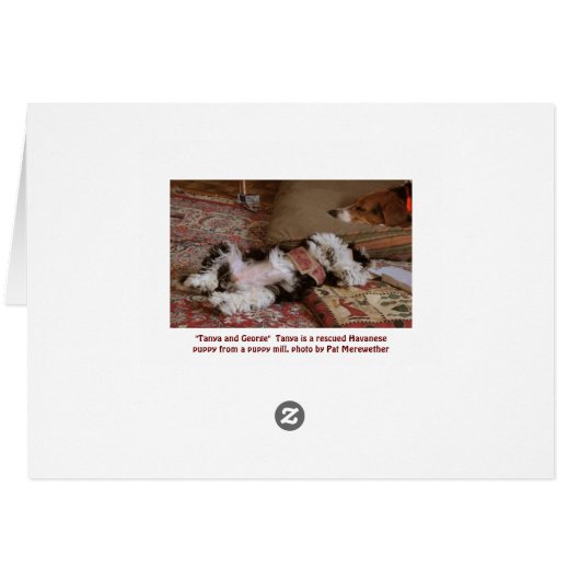 RELAX! (Back Horizontal)