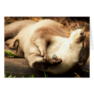 Relax and enjoy! cards