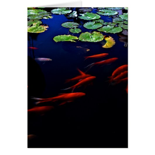 Relax Cards (Front)