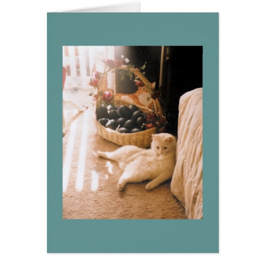 Relax Cards (Front)