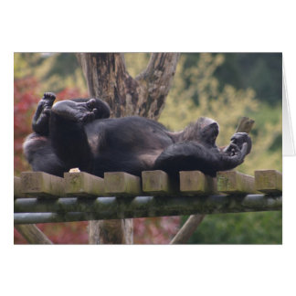 Relax! Cards