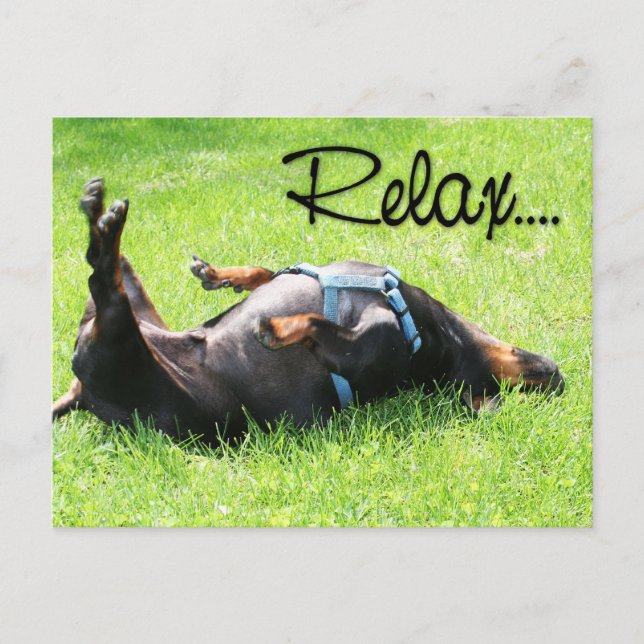 Relax Get Well - Dachshund - Hoover Postcard (Front)