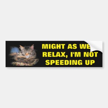 Relax  I'm Not Speeding Up W/ Bumper Cat Bumper Sticker by talkingbumpers at Zazzle