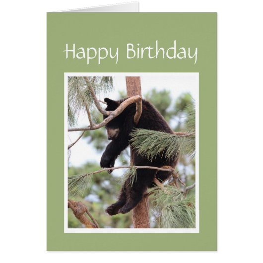Relax it's Your Birthday Bear for Anyone Stressed Cards (Front)