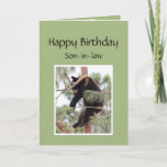 Relax it's Your Birthday Bear for Son-in-law Card<br><div class="desc">Black Bear relaxing in a comical way makes a fun Birthday card to say Relax especially on your birthday</div>