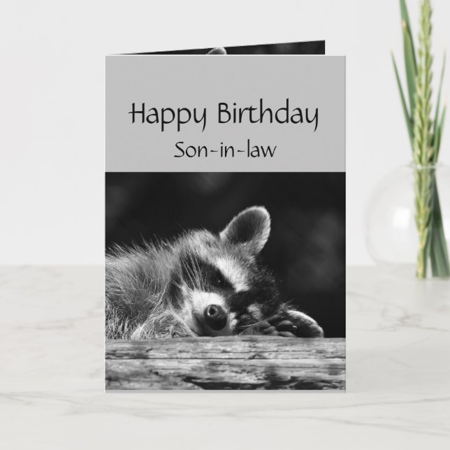 Relax it's Your Birthday Raccoon Son-in-law Card (Front)