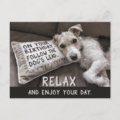 Relax Like the Dog Happy Birthday Postcard